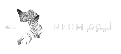 NEOM City