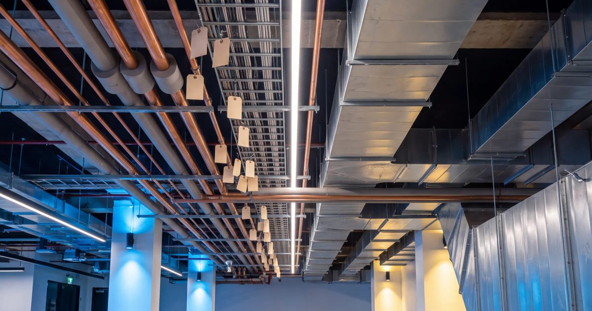 Egyptian National Company — Cold Storage Rehabilitation — visualisation